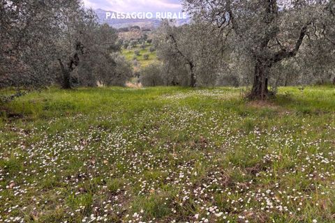 Villa i Roccastrada, Grosseto, Roccastrada - € 25.000 | Ref: __trashed-1010178 - foto 21