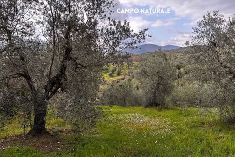 Villa i Roccastrada, Grosseto, Roccastrada - € 25.000 | Ref: __trashed-1010178 - foto 22