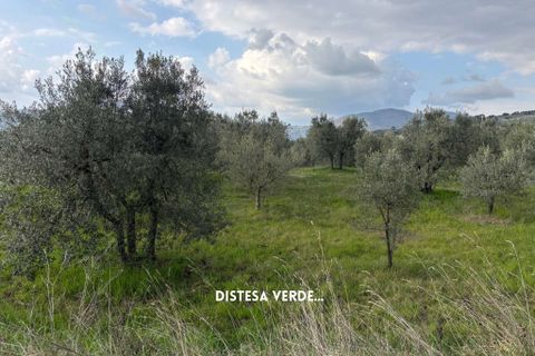 Villa i Roccastrada, Grosseto, Roccastrada - € 25.000 | Ref: __trashed-1010178 - foto 25