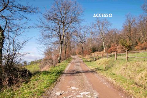 Villa a Roccatederighi, Grosseto, Roccatederighi - € 155.000 | Ref: 41741006-191-1010204 - foto 2