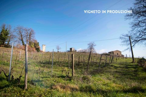 Villa a Roccatederighi, Grosseto, Roccatederighi - € 155.000 | Ref: 41741006-191-1010204 - foto 3