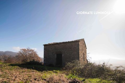 Villa a Roccatederighi, Grosseto, Roccatederighi - € 155.000 | Ref: 41741006-191-1010204 - foto 12