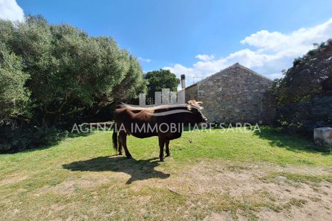 Villa a Aglientu, Sassari, Aglientu - € 990.000 | Ref: AGL53 - foto 3