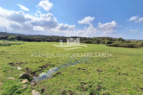Villa a Aglientu, Sassari, Aglientu - € 990.000 | Ref: AGL53 - foto 14