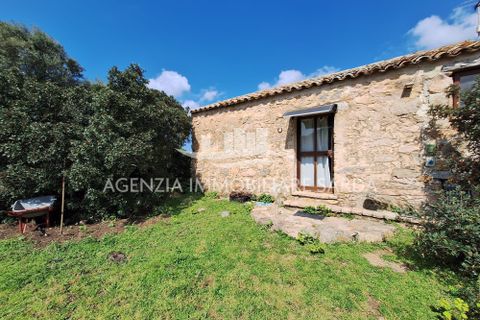 Villa a Aglientu, Sassari, Aglientu - € 990.000 | Ref: AGL53 - foto 16