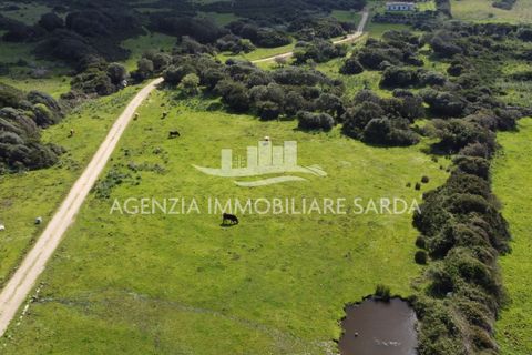 Villa a Aglientu, Sassari, Aglientu - € 990.000 | Ref: AGL53 - foto 19