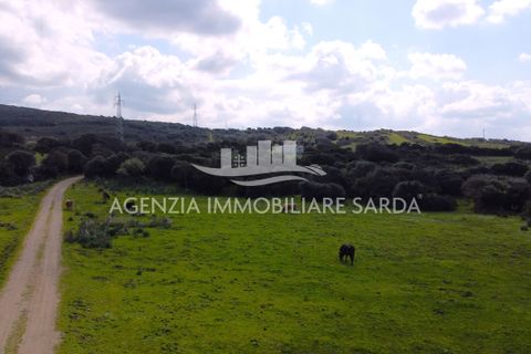 Villa a Aglientu, Sassari, Aglientu - € 990.000 | Ref: AGL53 - foto 20