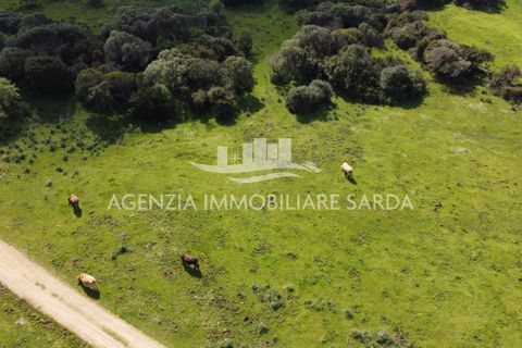 Villa a Aglientu, Sassari, Aglientu - € 990.000 | Ref: AGL53 - foto 27