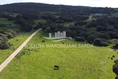 Villa a Aglientu, Sassari, Aglientu - € 990.000 | Ref: AGL53 - foto 28