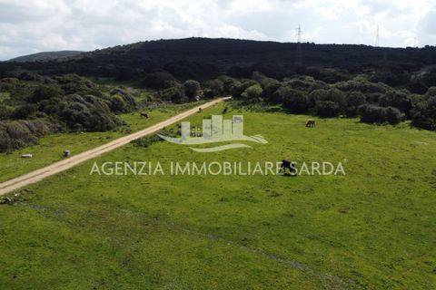 Villa a Aglientu, Sassari, Aglientu - € 990.000 | Ref: AGL53 - foto 29