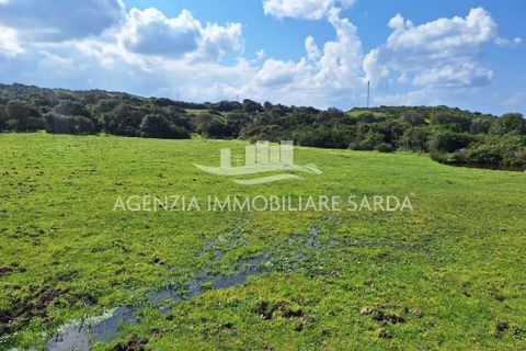 Villa a Aglientu, Sassari, Aglientu - € 990.000 | Ref: AGL53 - foto 33