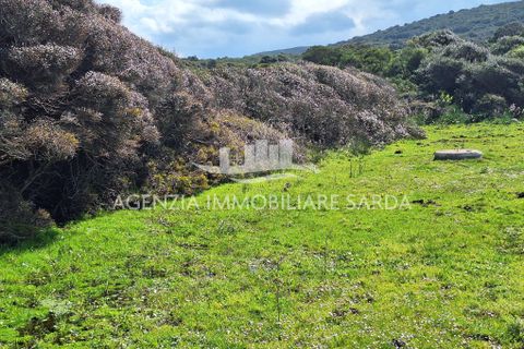 Villa a Aglientu, Sassari, Aglientu - € 990.000 | Ref: AGL53 - foto 34