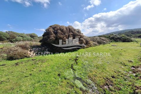 Villa a Aglientu, Sassari, Aglientu - € 990.000 | Ref: AGL53 - foto 35