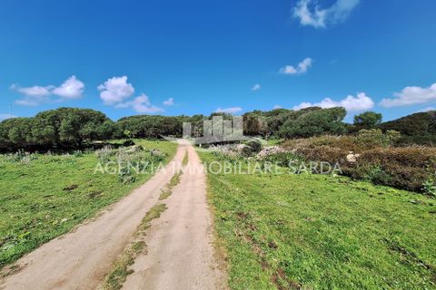 Villa a Aglientu, Sassari, Aglientu - € 990.000 | Ref: AGL53 - foto 36