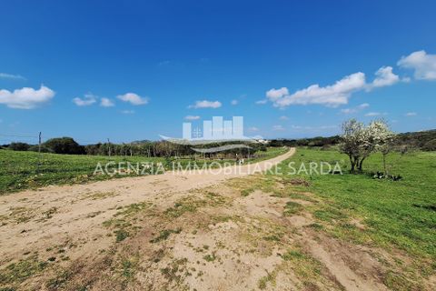 Villa a Aglientu, Sassari, Aglientu - € 990.000 | Ref: AGL53 - foto 38