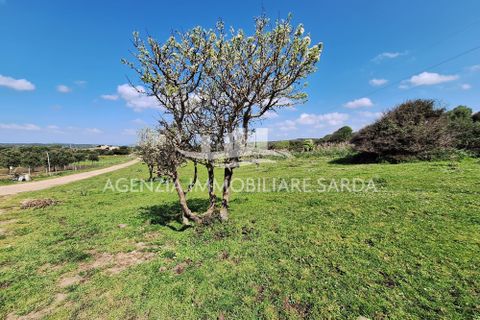 Villa a Aglientu, Sassari, Aglientu - € 990.000 | Ref: AGL53 - foto 39
