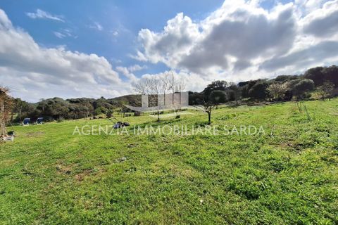 Villa a Aglientu, Sassari, Aglientu - € 990.000 | Ref: AGL53 - foto 42