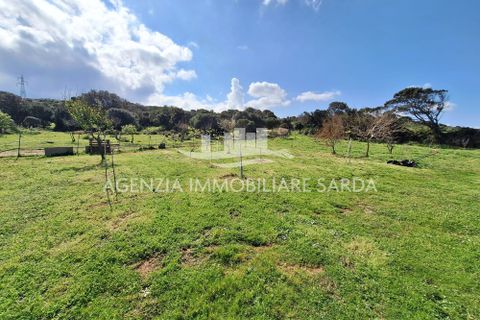 Villa a Aglientu, Sassari, Aglientu - € 990.000 | Ref: AGL53 - foto 43
