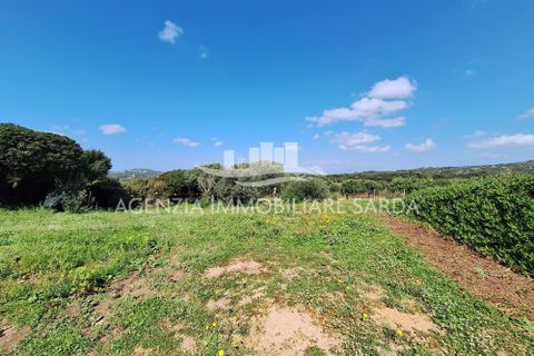 Villa a Aglientu, Sassari, Aglientu - € 990.000 | Ref: AGL53 - foto 44