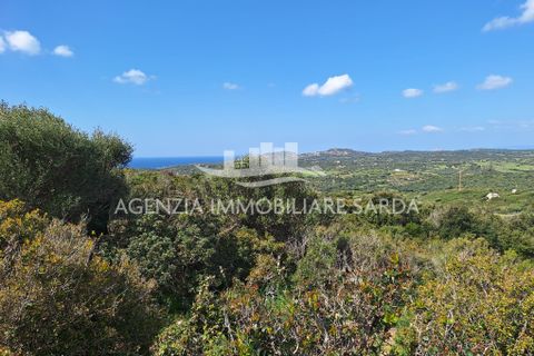 Villa a Aglientu, Sassari, Aglientu - € 990.000 | Ref: AGL53 - foto 50