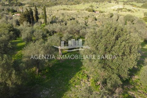 Erhvervsejendom i Alghero, Sassari, Alghero - € 65.000 | Ref: ALG103 - foto 8