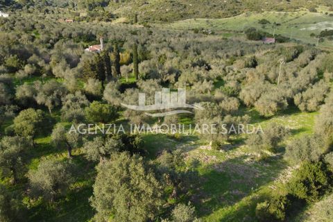 Erhvervsejendom i Alghero, Sassari, Alghero - € 65.000 | Ref: ALG103 - foto 7