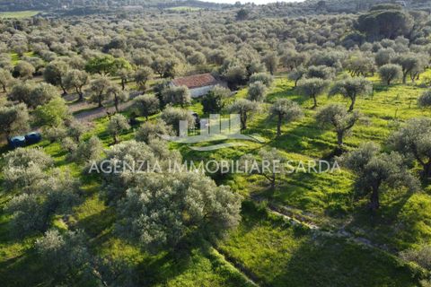 Erhvervsejendom i Alghero, Sassari, Alghero - € 65.000 | Ref: ALG103 - foto 12