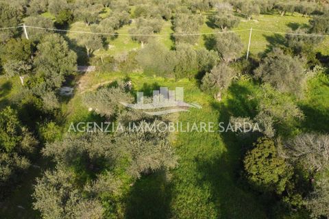 Erhvervsejendom i Alghero, Sassari, Alghero - € 65.000 | Ref: ALG103 - foto 13