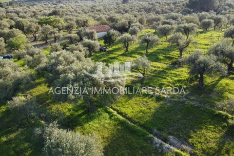 Erhvervsejendom i Alghero, Sassari, Alghero - € 65.000 | Ref: ALG103 - foto 14