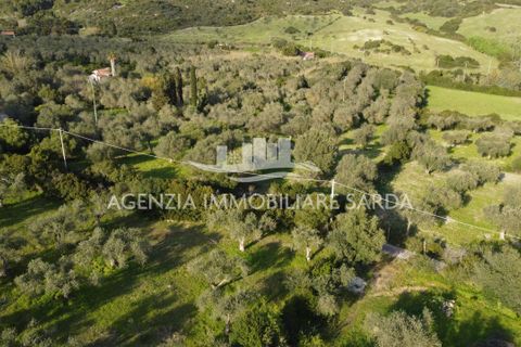 Erhvervsejendom i Alghero, Sassari, Alghero - € 65.000 | Ref: ALG103 - foto 10