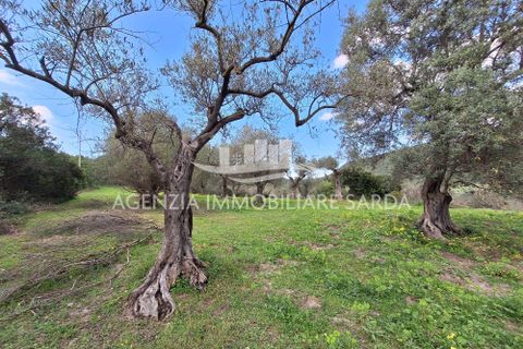 Erhvervsejendom i Alghero, Sassari, Alghero - € 65.000 | Ref: ALG103 - foto 15