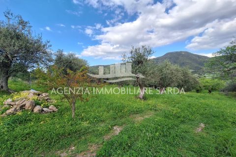 Erhvervsejendom i Alghero, Sassari, Alghero - € 65.000 | Ref: ALG103 - foto 18
