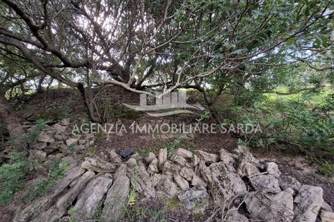 Erhvervsejendom i Alghero, Sassari, Alghero - € 65.000 | Ref: ALG103 - foto 9