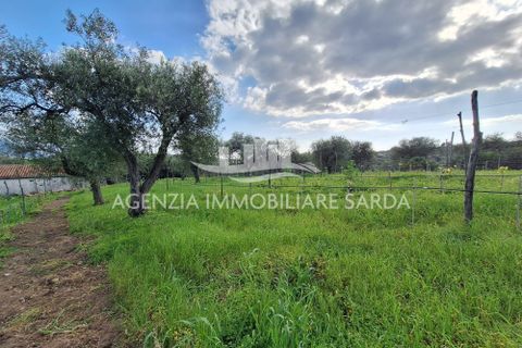 Erhvervsejendom i Alghero, Sassari, Alghero - € 65.000 | Ref: ALG103 - foto 19