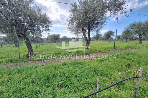 Erhvervsejendom i Alghero, Sassari, Alghero - € 65.000 | Ref: ALG103 - foto 20