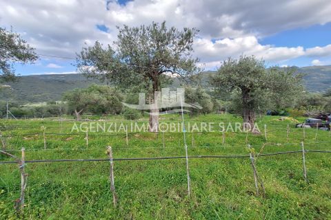 Erhvervsejendom i Alghero, Sassari, Alghero - € 65.000 | Ref: ALG103 - foto 21