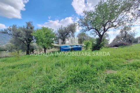 Erhvervsejendom i Alghero, Sassari, Alghero - € 65.000 | Ref: ALG103 - foto 22