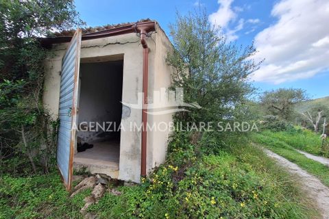 Erhvervsejendom i Alghero, Sassari, Alghero - € 65.000 | Ref: ALG103 - foto 3