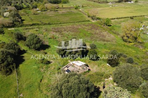 Villa i Alghero, Sassari, Alghero - € 180.000 | Ref: ALG105 - foto 1