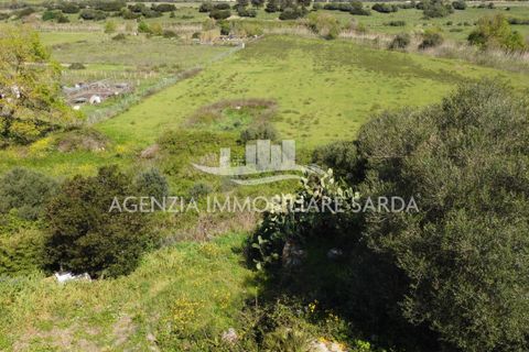 Villa i Alghero, Sassari, Alghero - € 180.000 | Ref: ALG105 - foto 3