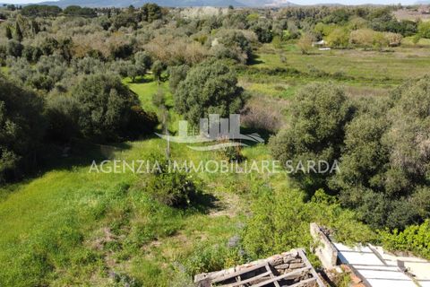 Villa i Alghero, Sassari, Alghero - € 180.000 | Ref: ALG105 - foto 4