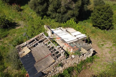 Villa i Alghero, Sassari, Alghero - € 180.000 | Ref: ALG105 - foto 6