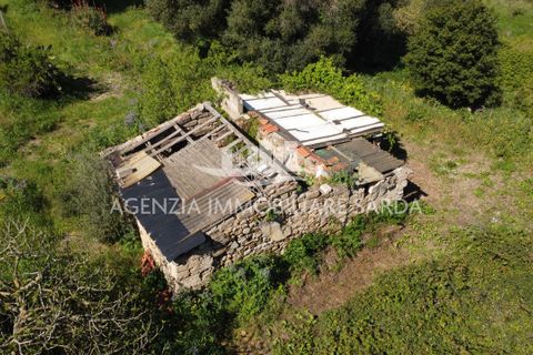 Villa i Alghero, Sassari, Alghero - € 180.000 | Ref: ALG105 - foto 7