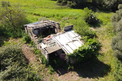 Villa i Alghero, Sassari, Alghero - € 180.000 | Ref: ALG105 - foto 10