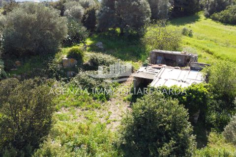 Villa i Alghero, Sassari, Alghero - € 180.000 | Ref: ALG105 - foto 12