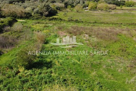 Villa i Alghero, Sassari, Alghero - € 180.000 | Ref: ALG105 - foto 13