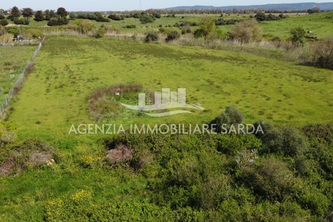 Villa i Alghero, Sassari, Alghero - € 180.000 | Ref: ALG105 - foto 14