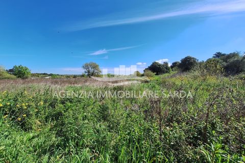 Villa i Alghero, Sassari, Alghero - € 180.000 | Ref: ALG105 - foto 16