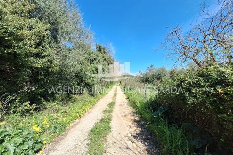Villa i Alghero, Sassari, Alghero - € 180.000 | Ref: ALG105 - foto 17