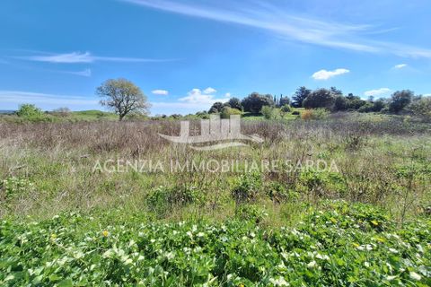 Villa i Alghero, Sassari, Alghero - € 180.000 | Ref: ALG105 - foto 19